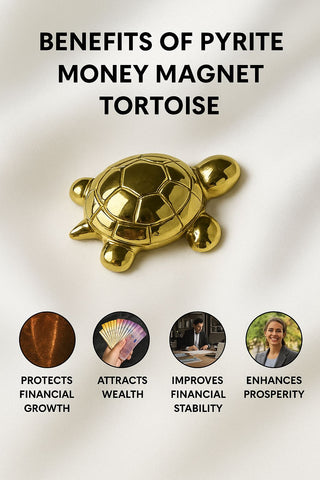 Money Magnet Tortoise - Vastu Miracles